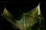 Retent